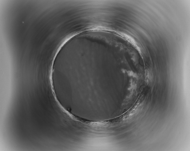 X0000094350863200711021431