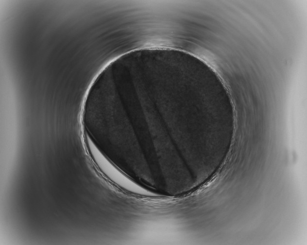 X0000094350864200711021431