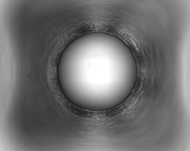X0000094350865200711021431