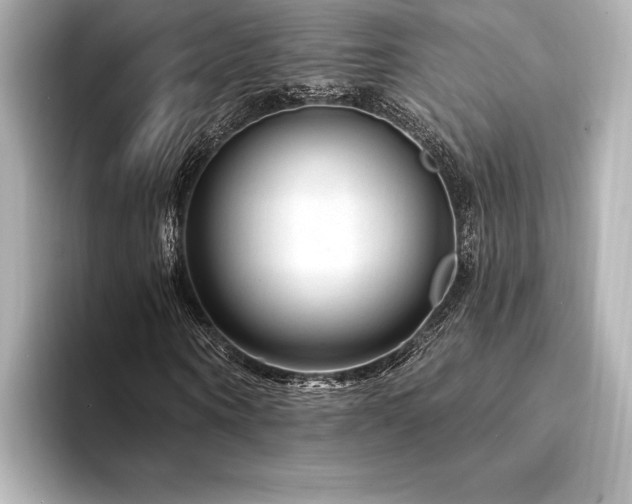 X0000094350866200711021431