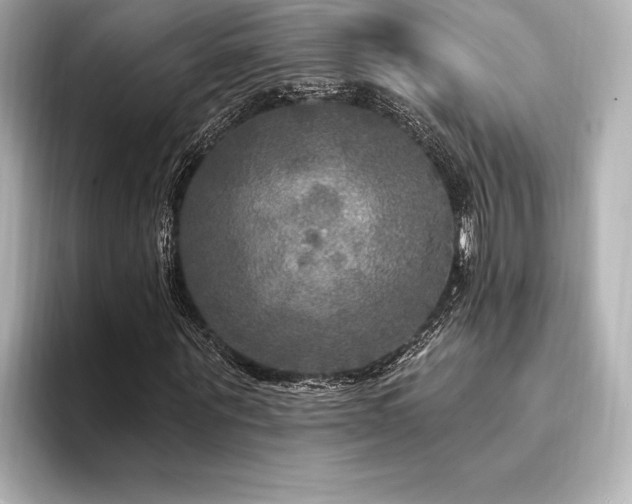 X0000094350867200711021431