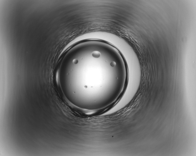 X0000094350868200711021431