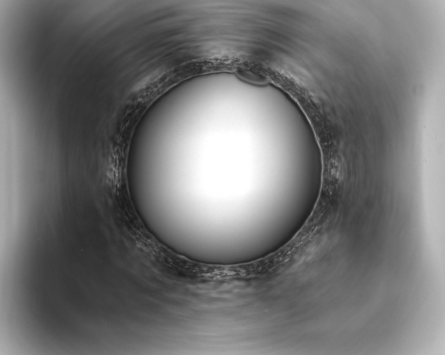 X0000094350869200711021431