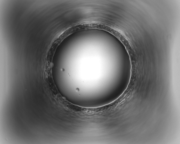 X0000094350871200711021431