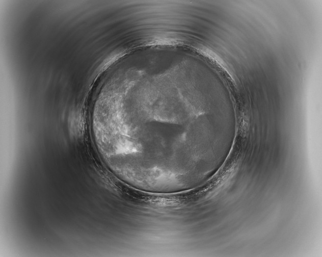 X0000094350874200711021431