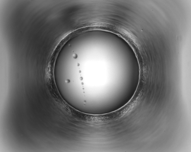 X0000094350875200711021431