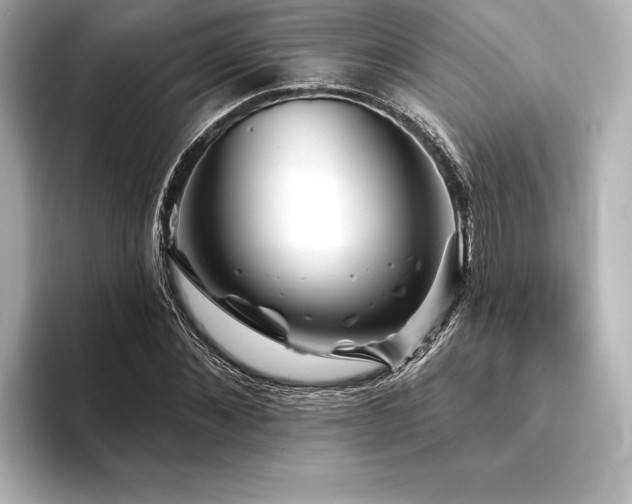 X0000094350876200711021431