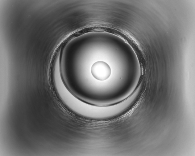 X0000094350877200711021431