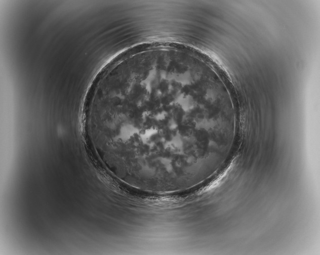 X0000094350879200711021431