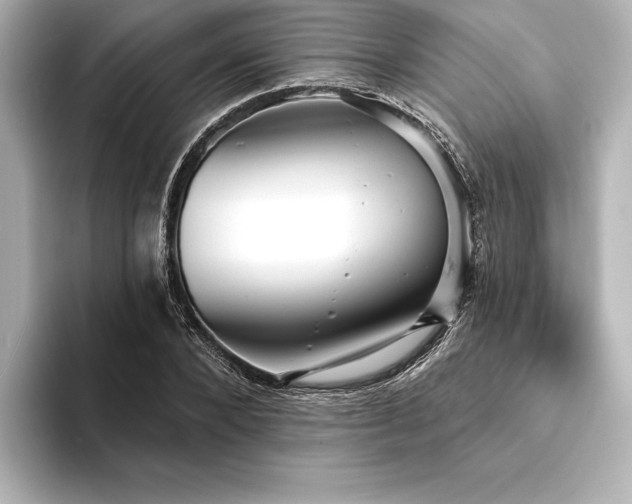 X0000094350880200711021431