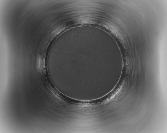 X0000094350881200711021431