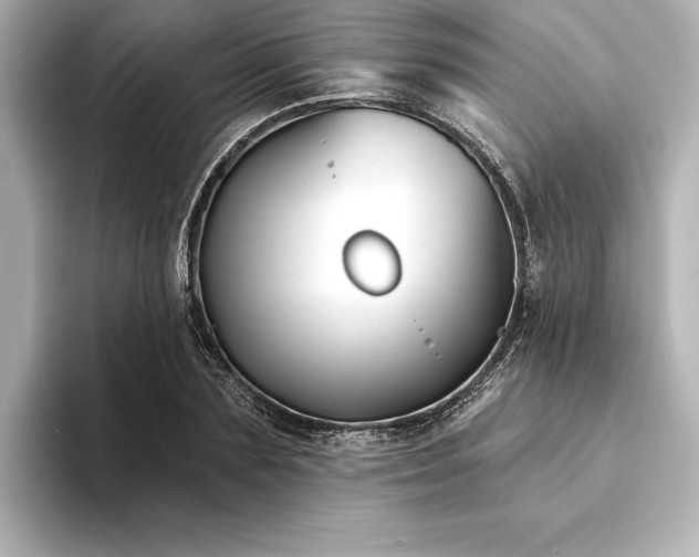 X0000094350883200711021431