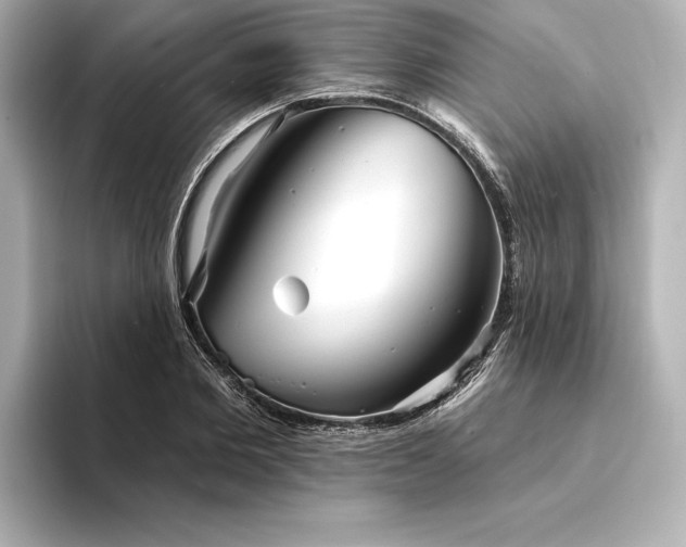 X0000094350885200711021431