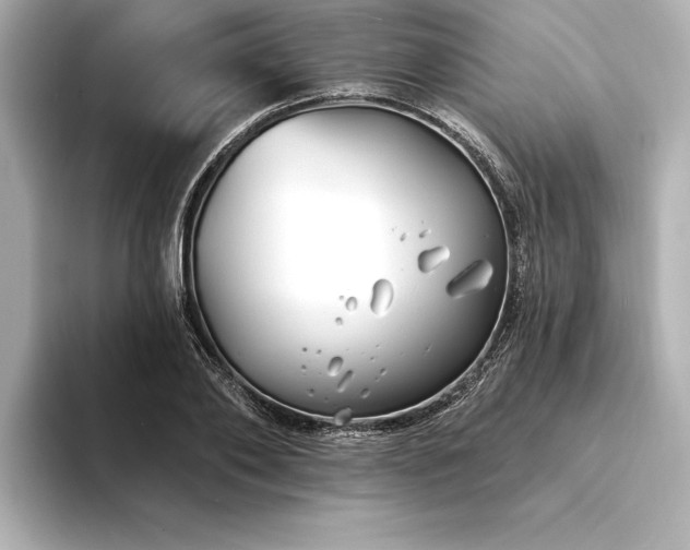 X0000094350886200711021431