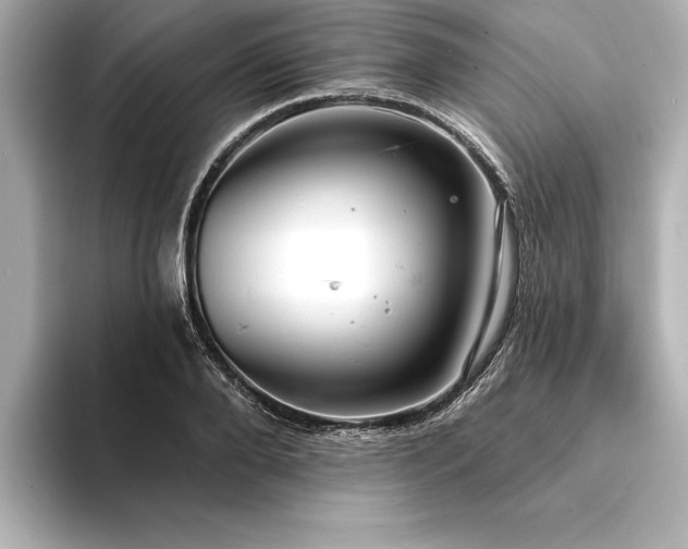 X0000094350888200711021431