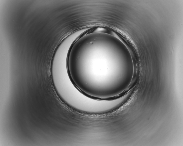 X0000094350889200711021431