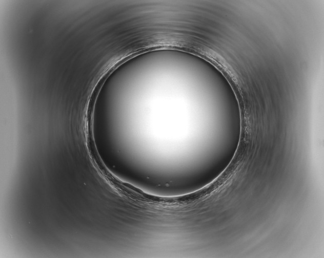 X0000094350890200711021431