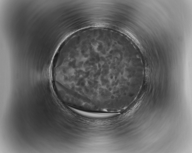 X0000094350891200711021431