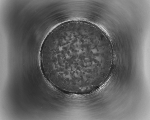 X0000094350895200711021430