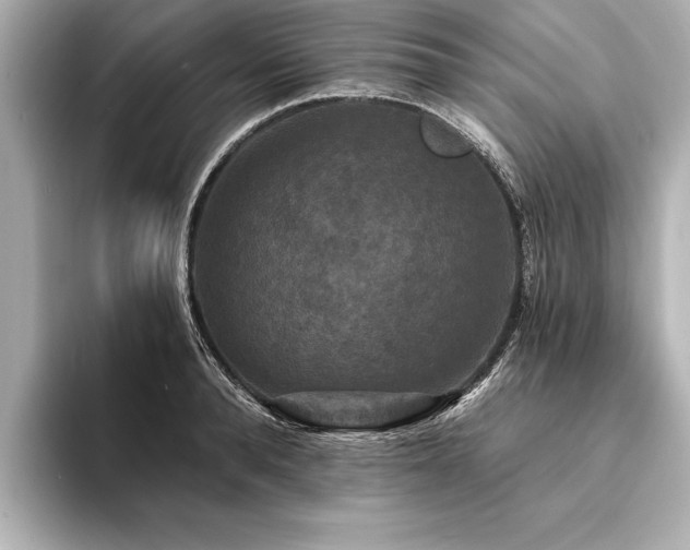 X0000094350896200711021430