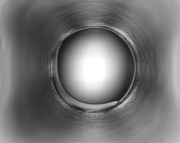 X0000094350897200711021430