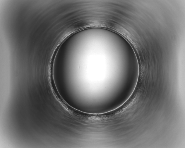 X0000094350898200711021430