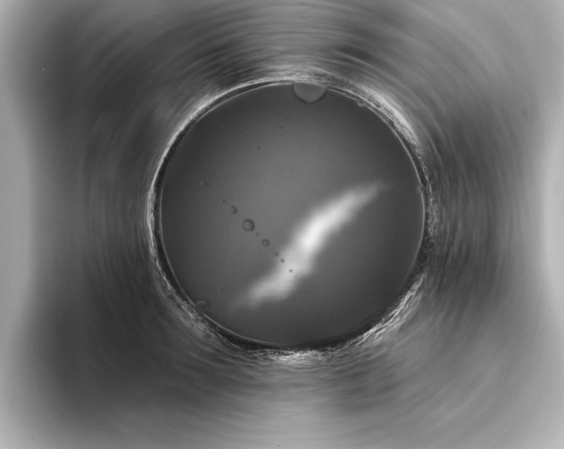 X0000094350899200711021430