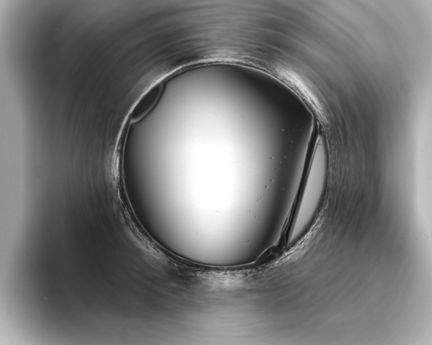 X0000094350900200711021430