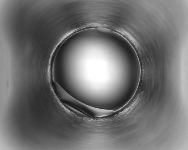 X0000094350902200711021430