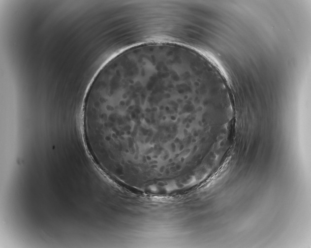 X0000094350903200711021430