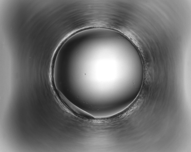X0000094350904200711021430
