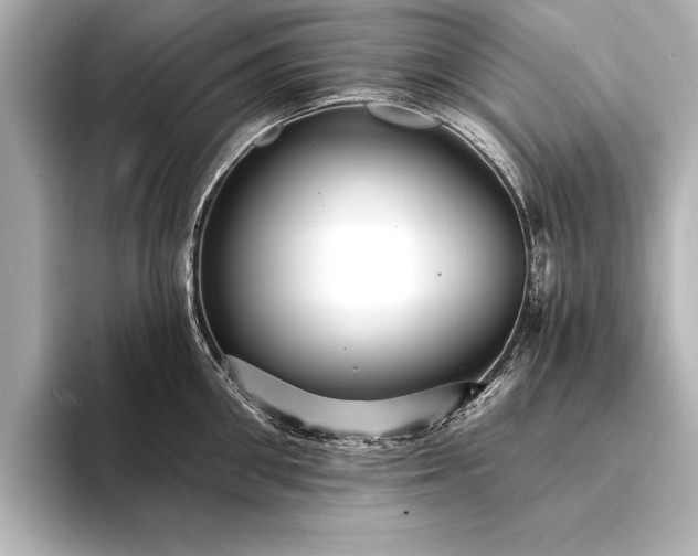 X0000094350906200711021430