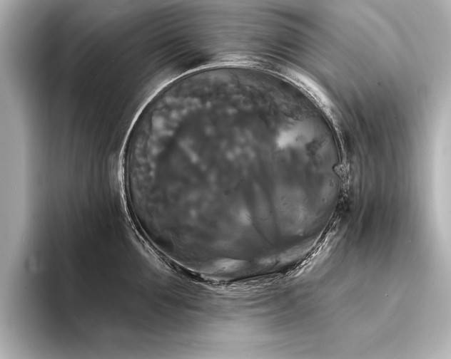X0000094350907200711021430
