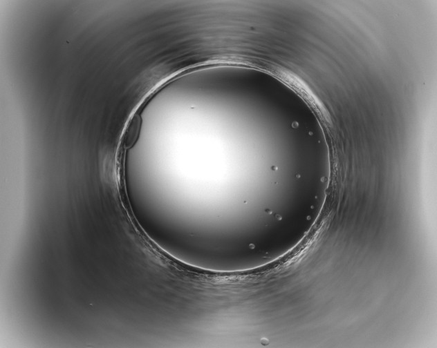X0000094350908200711021430