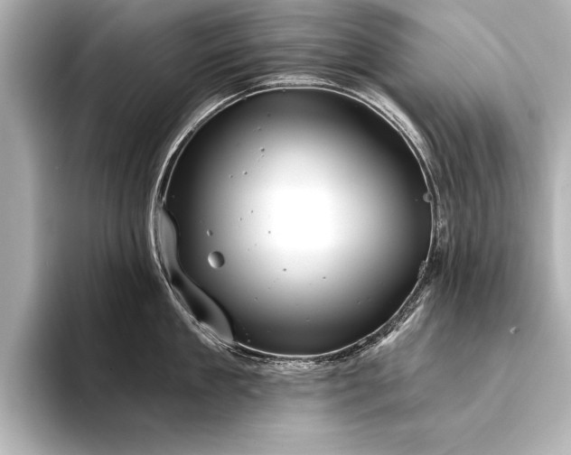 X0000094350909200711021430