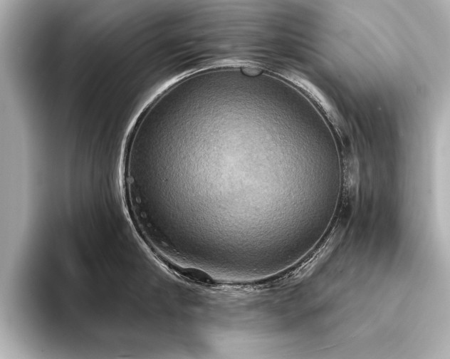 X0000094350910200711021430