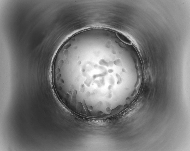 X0000094350911200711021430