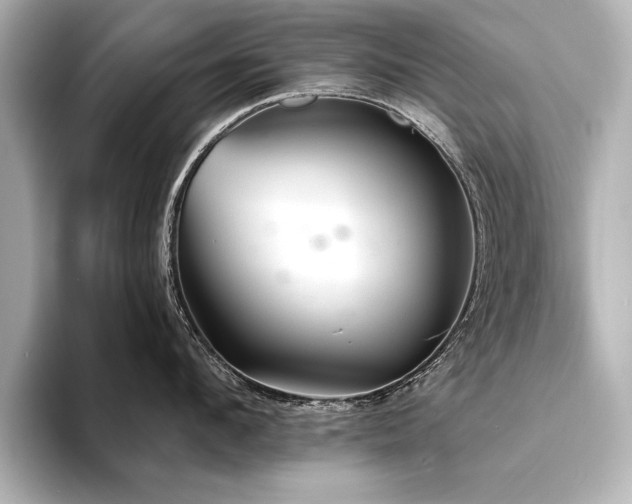 X0000094350912200711021430