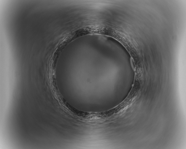 X0000094350913200711021430