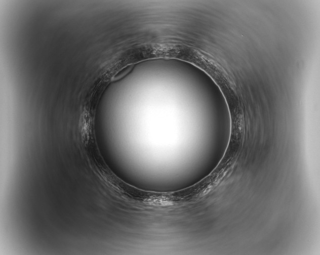 X0000094350914200711021430