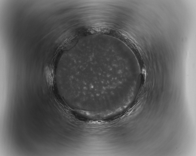 X0000094350915200711021430