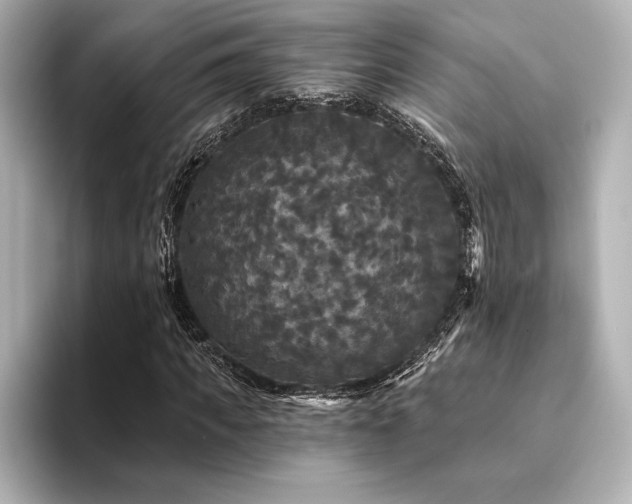 X0000094350917200711021430