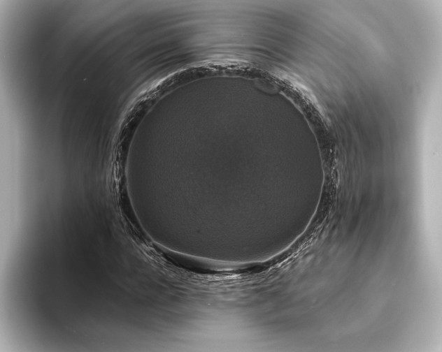 X0000094350920200711021430
