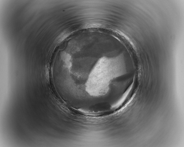 X0000094350921200711021430