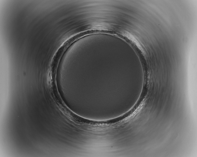 X0000094350923200711021430