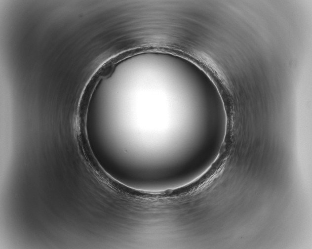 X0000094350924200711021430