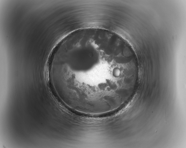 X0000094350925200711021430