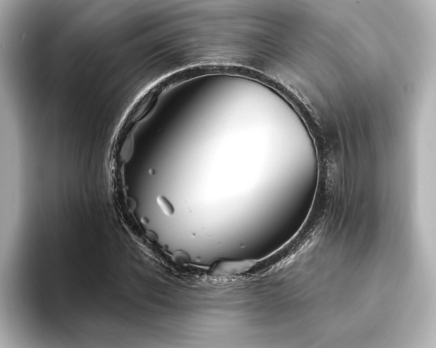 X0000094350926200711021430