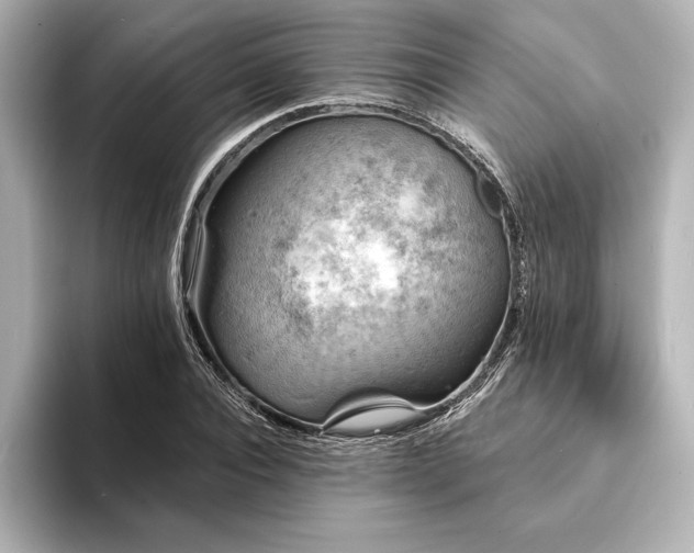 X0000094350928200711021430