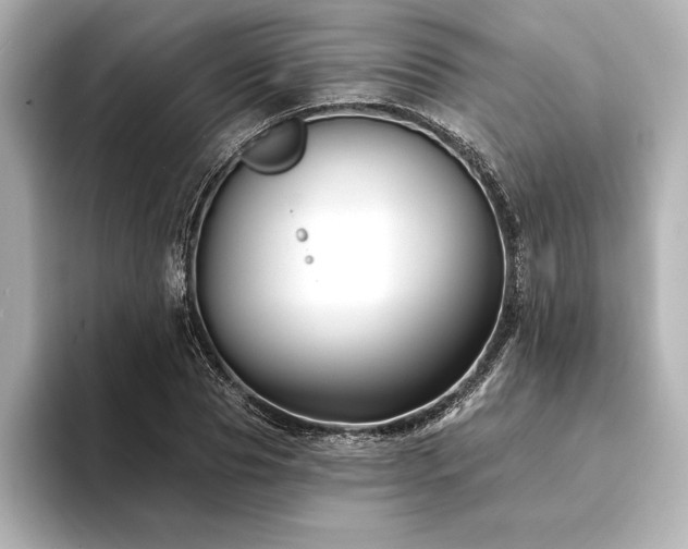 X0000094350929200711021430